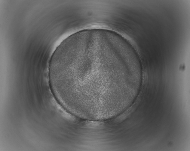 X0000114661374200911101333