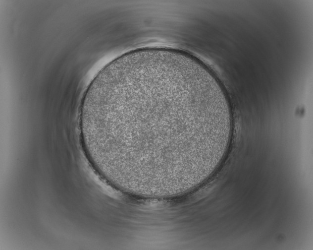 X0000114661375200911101333