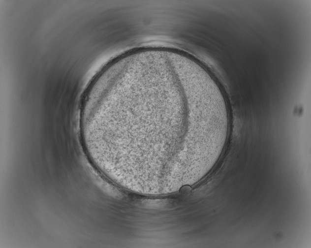 X0000114661376200911101333