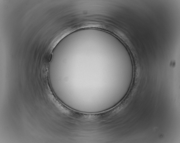 X0000114661377200911101333