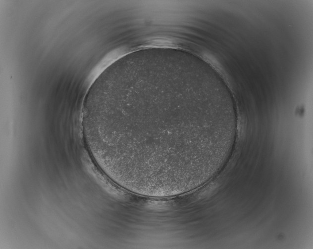 X0000114661378200911101333