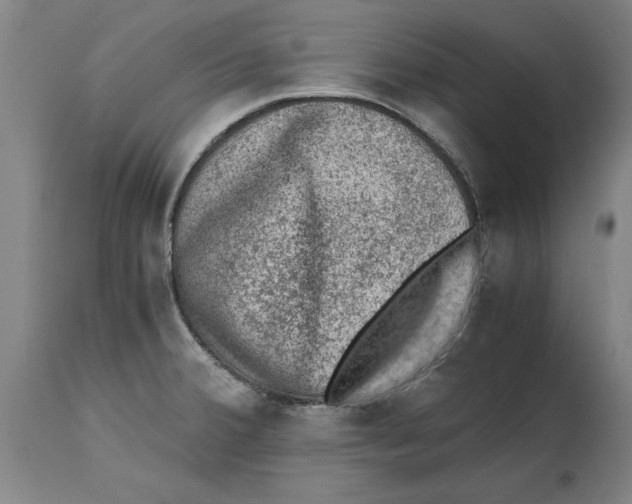 X0000114661380200911101333