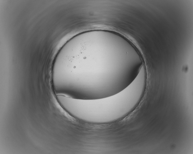 X0000114661381200911101333