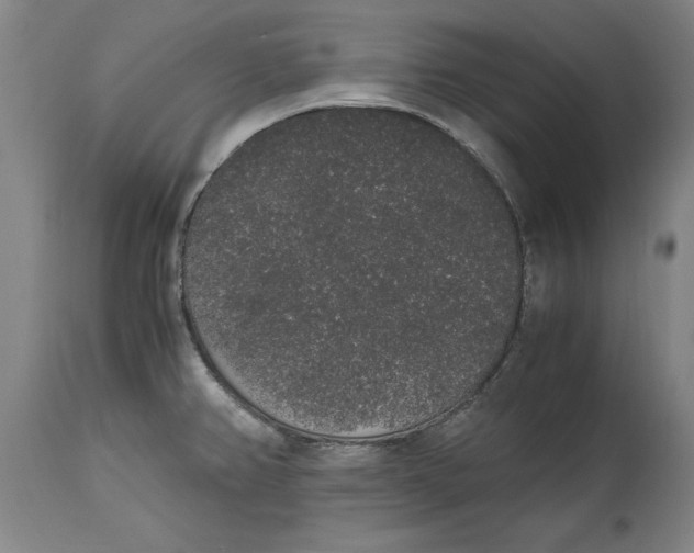 X0000114661382200911101333