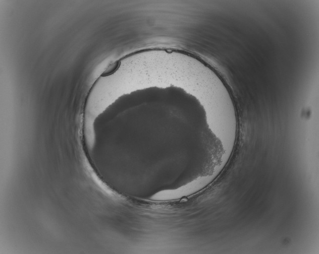 X0000114661383200911101333