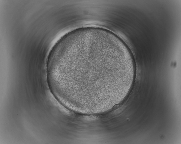 X0000114661384200911101333