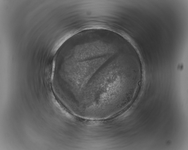 X0000114661385200911101333