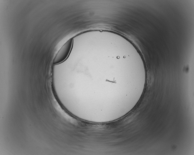 X0000114661387200911101333