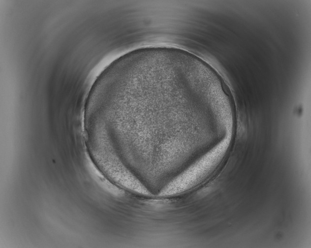 X0000114661388200911101333