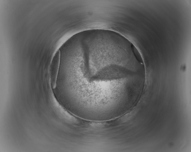 X0000114661389200911101333