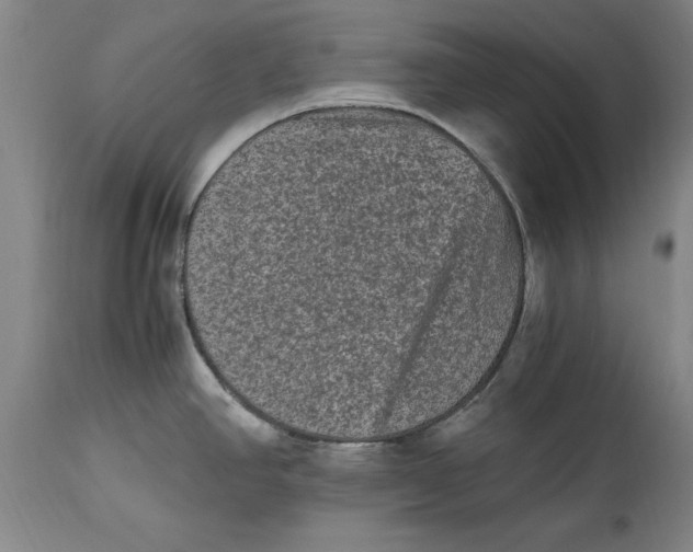 X0000114661390200911101333