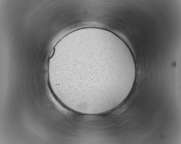 X0000114661391200911101333