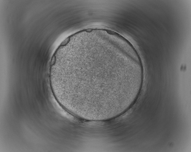 X0000114661392200911101333