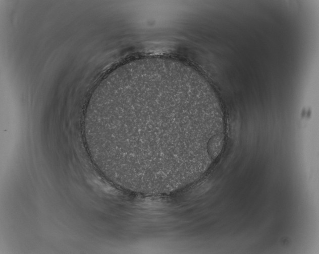 X0000114661393200911101332