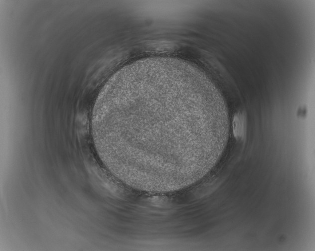 X0000114661395200911101332