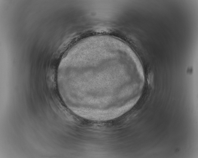 X0000114661396200911101332