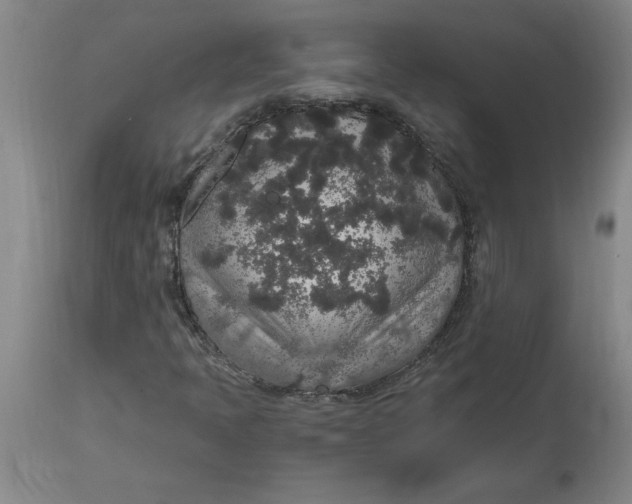 X0000114661397200911101332