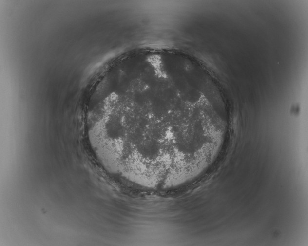 X0000114661398200911101332