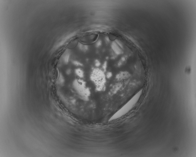 X0000114661399200911101332