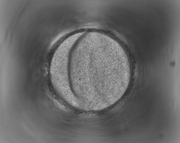 X0000114661400200911101332