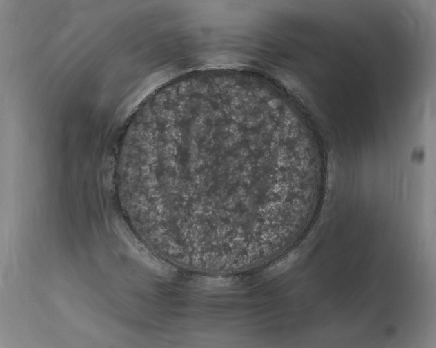 X0000114661401200911101332