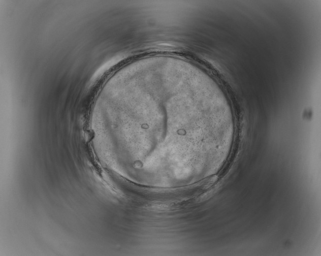 X0000114661402200911101333