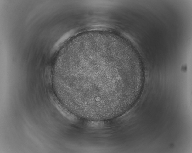 X0000114661403200911101333