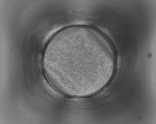 X0000114661404200911101333