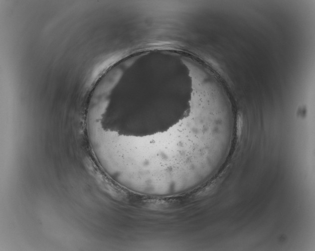 X0000114661405200911101333