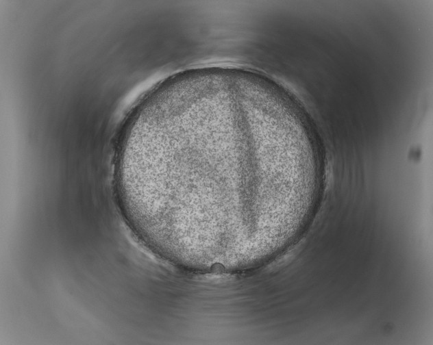 X0000114661406200911101333