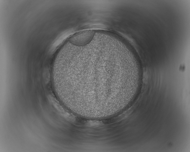 X0000114661407200911101333