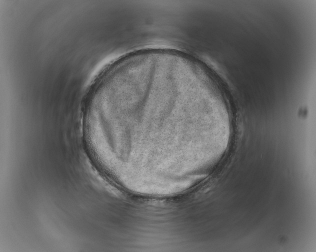 X0000114661408200911101333