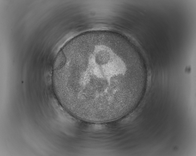 X0000114661409200911101333