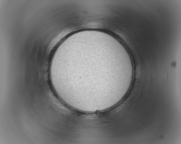 X0000114661410200911101333