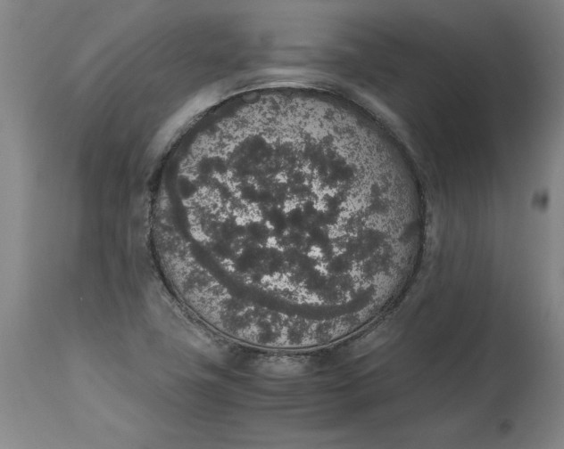 X0000114661411200911101333