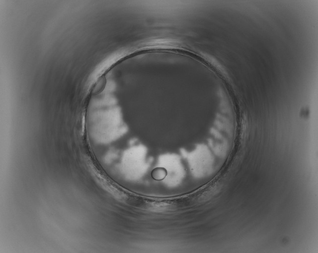 X0000114661413200911101333