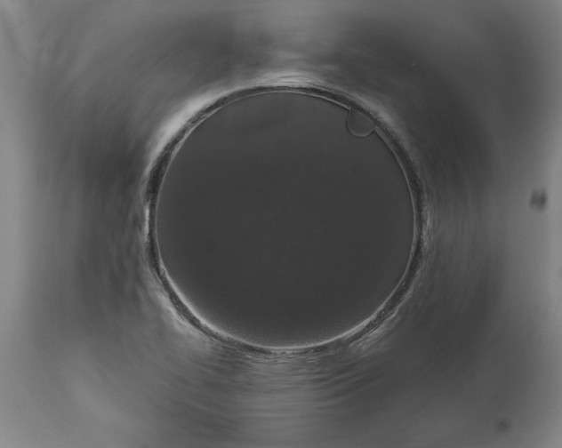 X0000114661414200911101333