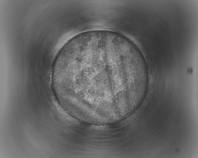 X0000114661415200911101333