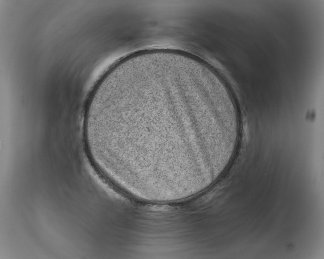 X0000114661416200911101333