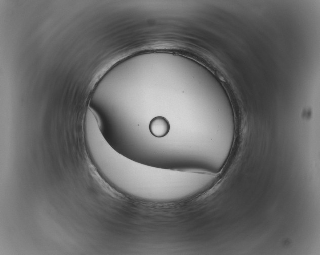 X0000114661417200911101333