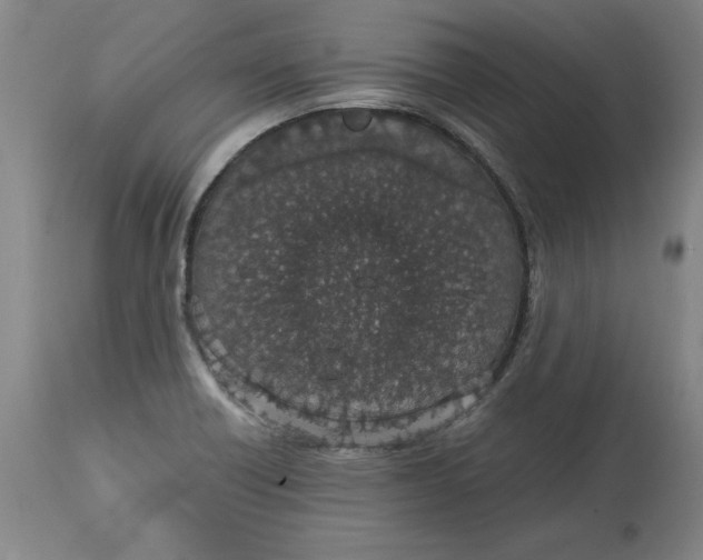 X0000114661418200911101333