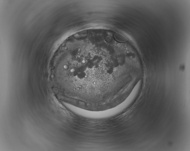 X0000114661419200911101333