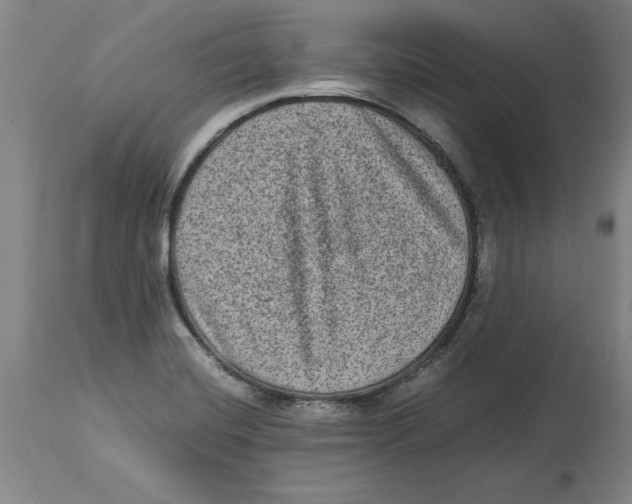 X0000114661420200911101333