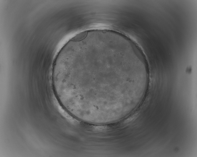 X0000114661421200911101333