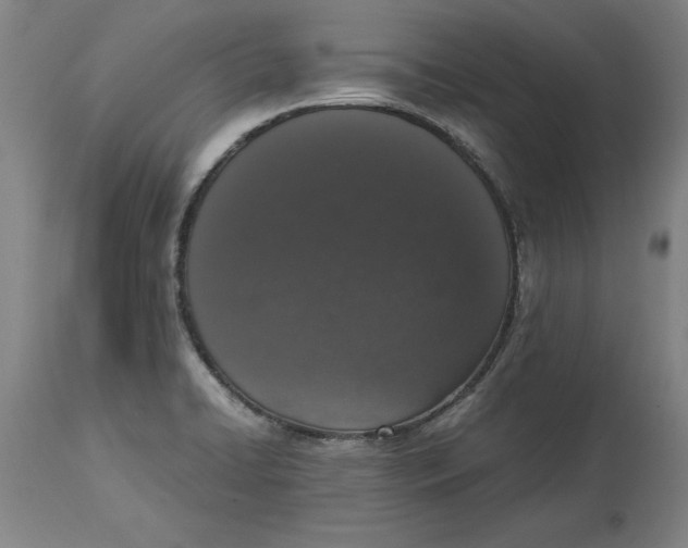 X0000114661422200911101333