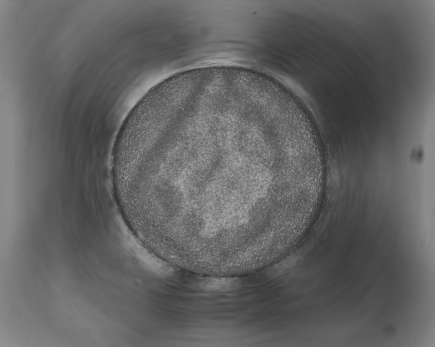 X0000114661423200911101333