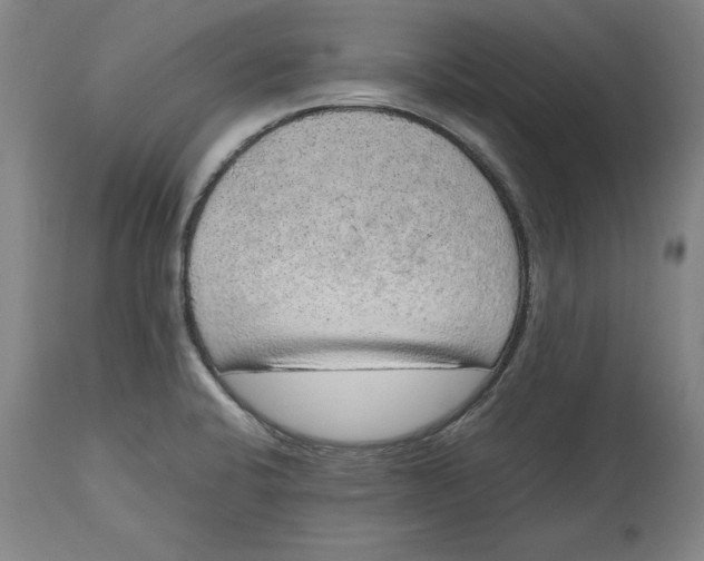 X0000114661424200911101333