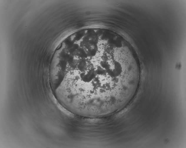 X0000114661425200911101333