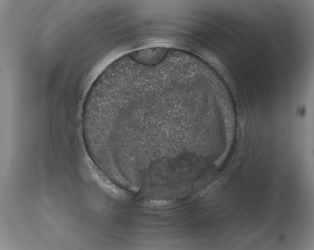 X0000114661427200911101333