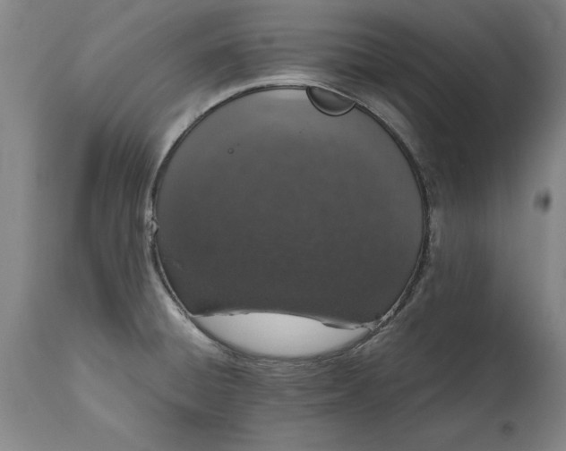 X0000114661428200911101333